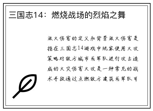 三国志14：燃烧战场的烈焰之舞