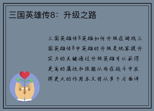 三国英雄传8：升级之路